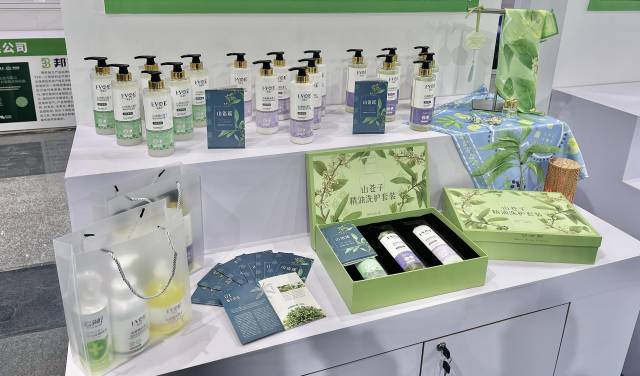 北山野“小辛香”如何迈向“大市场”CQ9电子游戏一颗山苍子的新生：粤(图4)